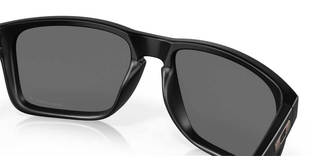 Поляризованные солнцезащитные очки Oakley Holbrook XL 941705 Matte Black Prizm Black Polar