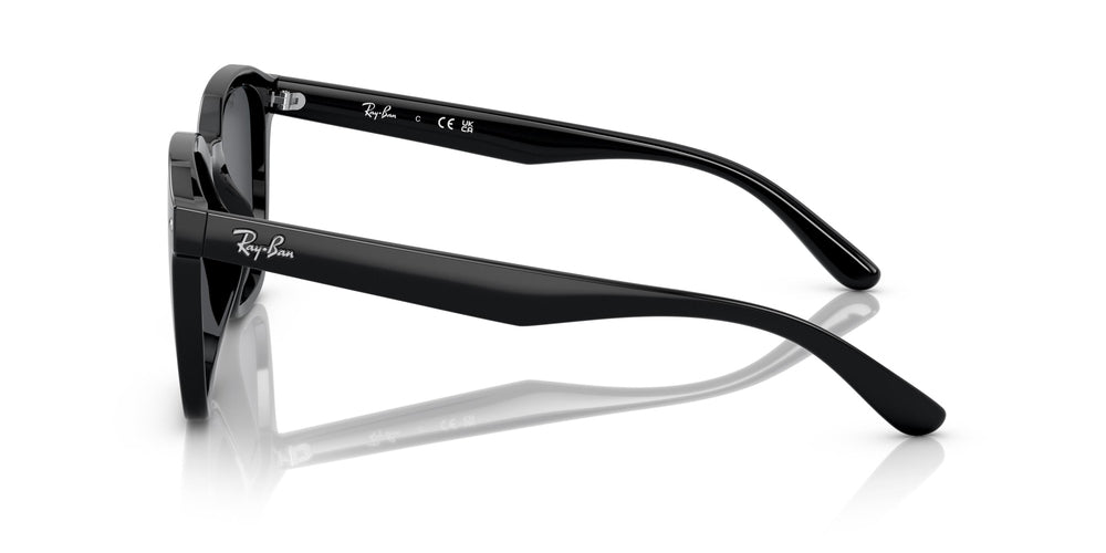 Солнцезащитные очки Ray-Ban RB4392D 601/87 Черные Темно-Серые 66 Экартман