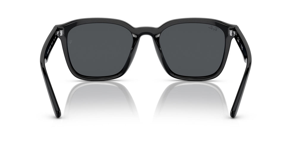 Солнцезащитные очки Ray-Ban RB4392D 601/87 Черные Темно-Серые 66 Экартман
