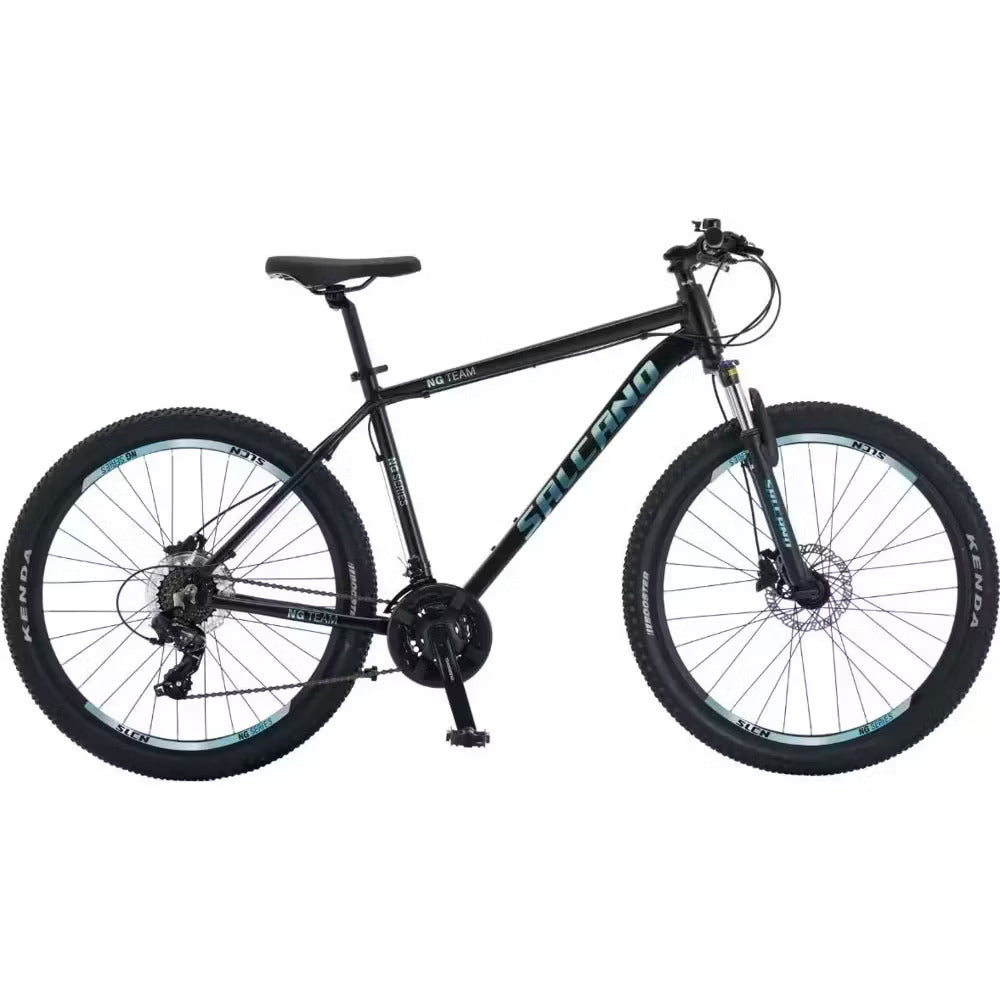 salcano mountainbike Salcano NG Team 200 29 21 HD Mountain Bike 2025