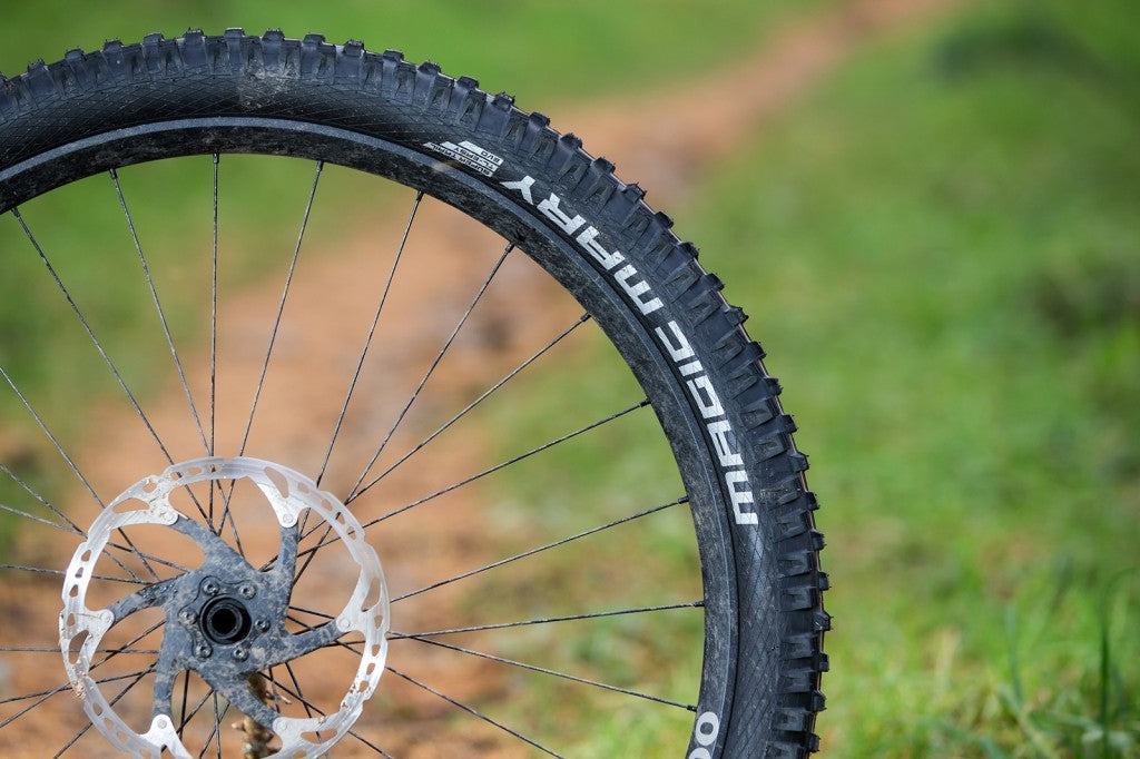 Schwalbe Magic Mary Performance DD TLE 29x2.40 ADDIX Tubeless Easy Dış Lastik 11654527 E-50