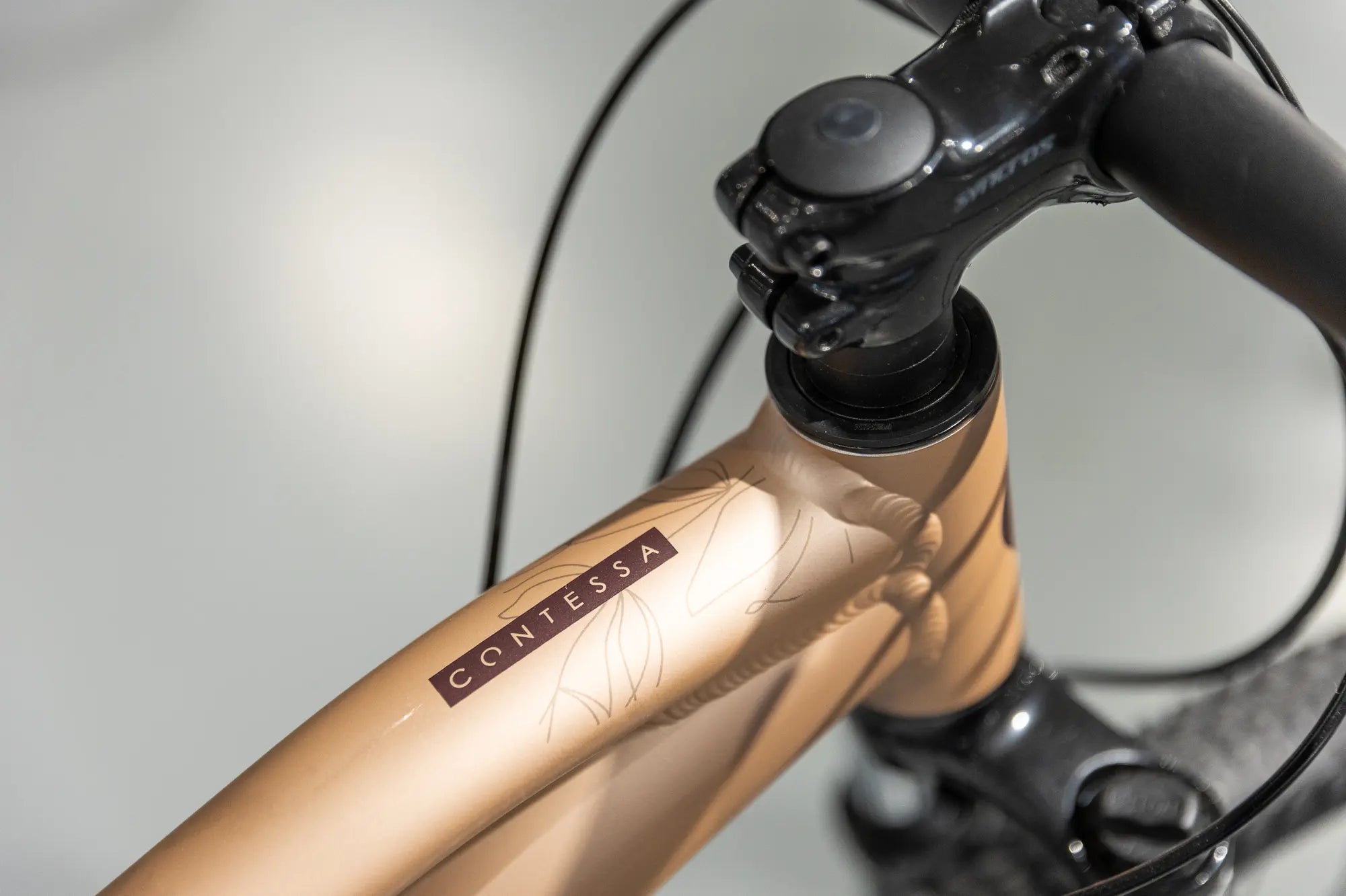 Scott Contessa Active 50 Kadın Dağ Bisikleti 2025 290321