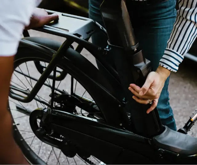 Vaast E/1 Enviolo Electric Bike Bosch