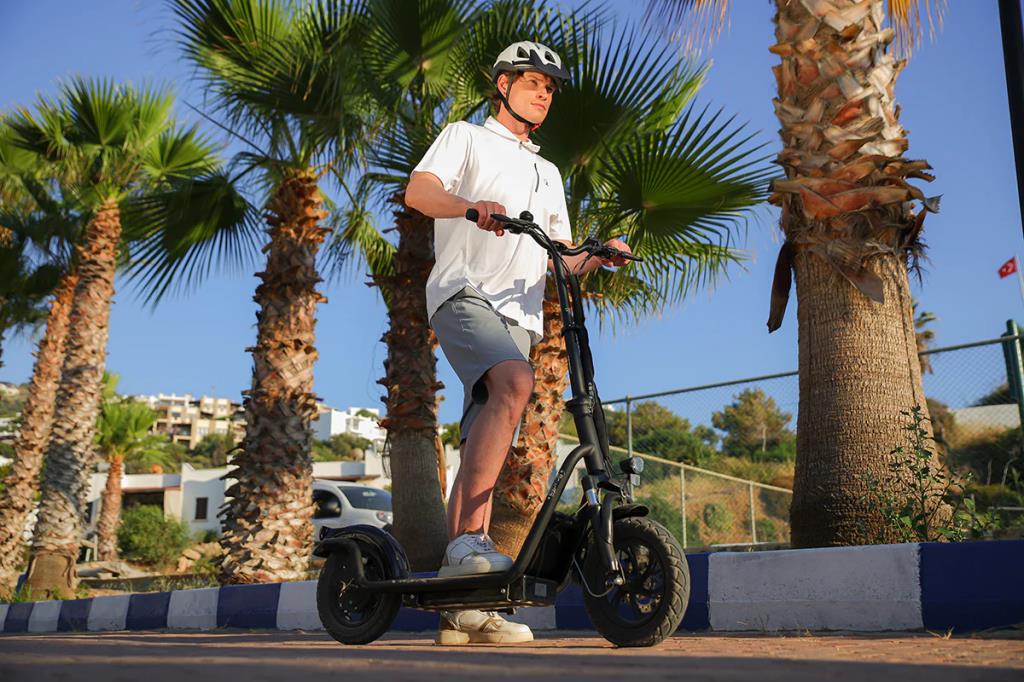 Alba S Pro 2 Elektrikli Scooter 48V10.4Ah Acar