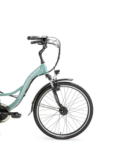 Bisan Florida Electric City Bike