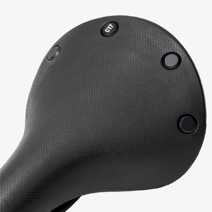 Brooks Cambium C17 Porter Sele 165mm Siyah
