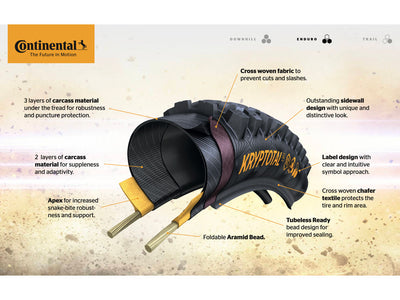 Continental Argotal Enduro Soft 29x2.40 TLR Tubeless Dış Lastik CO0150686