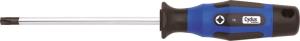 Cyclus Tools T25 Torx Tornavidası TX25x100 720530