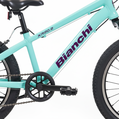 Bianchi XR20.2 kadro ve logo detayı