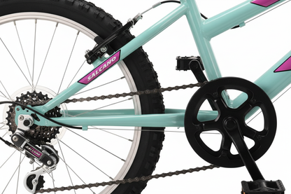 Salcano Excel Girl 20 Jant 6 Vites Çocuk Bisikleti 2026 - Detay Yakın Çekim