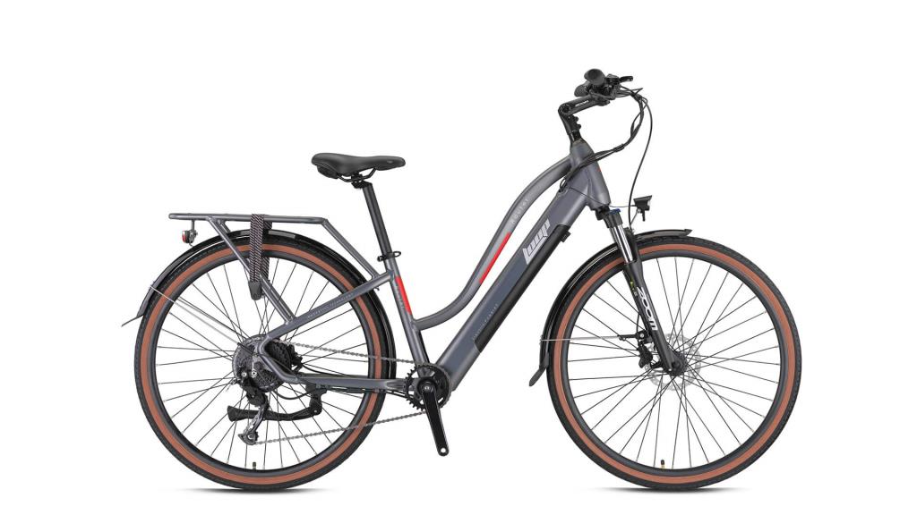 Loop Router Lady Electric City Bike 2025 Model – Uğur Bisiklet