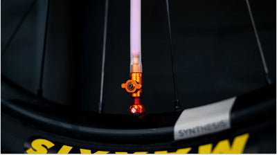 Muc-Off Big Bore Lite Tubeless Valve 35mm Blue