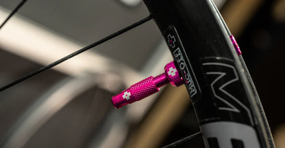 Muc-Off Presta Sibop Ucu Yedek 10 Adet