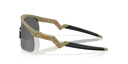 Oakley Resistor Genç Güneş Gözlüğü J901032 Fern Terrazzo Prizm Black