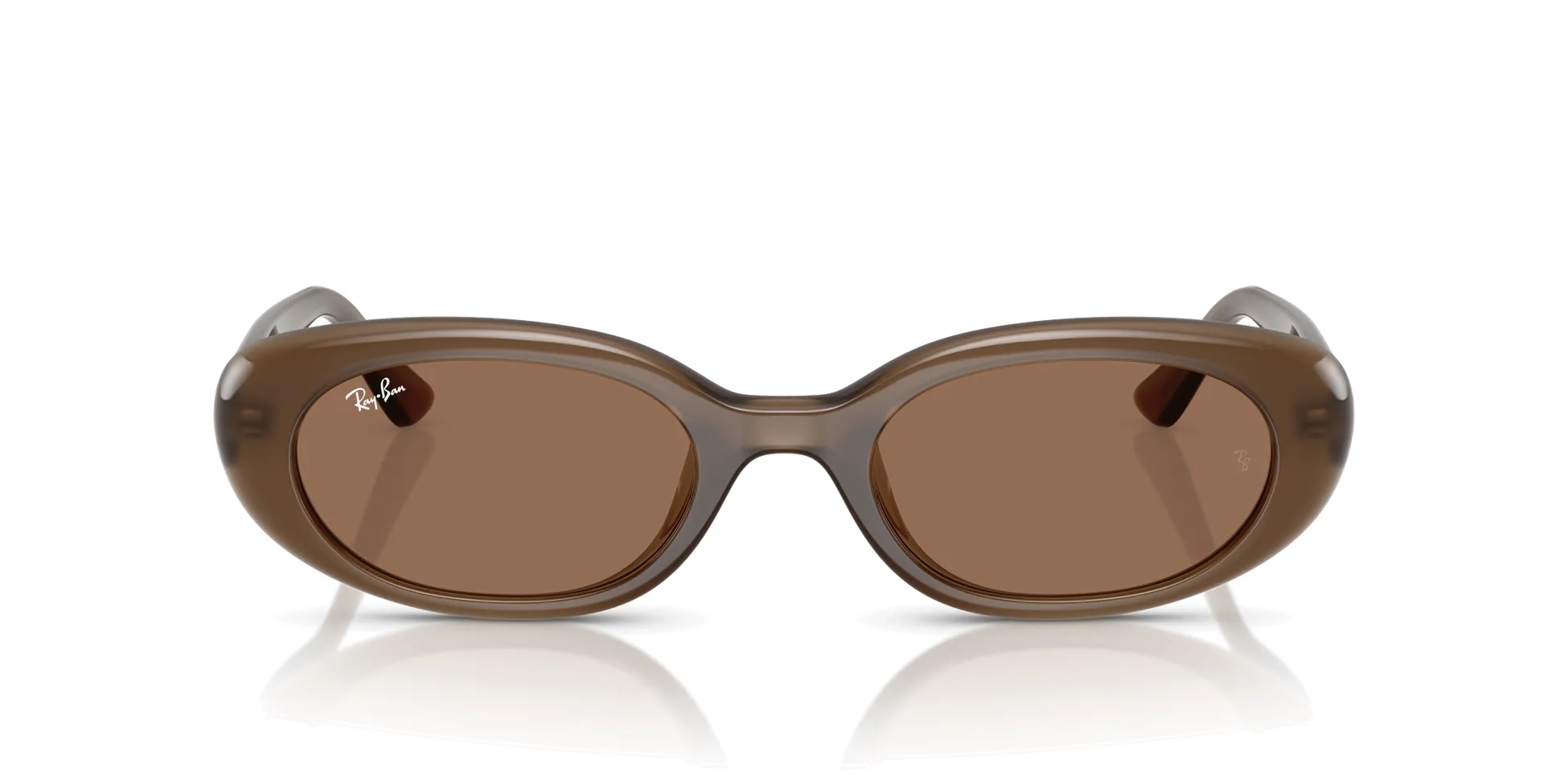 Ray-Ban RB4441D Sunglasses 677973 Opal Brown Dark Brown 53 Ekartman