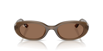 Солнцезащитные очки Ray-Ban RB4441D 677973 Opal Brown Dark Brown 53 Ekartman