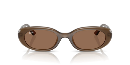 Ray-Ban RB4441D Sunglasses 677973 Opal Brown Dark Brown 53 Ekartman