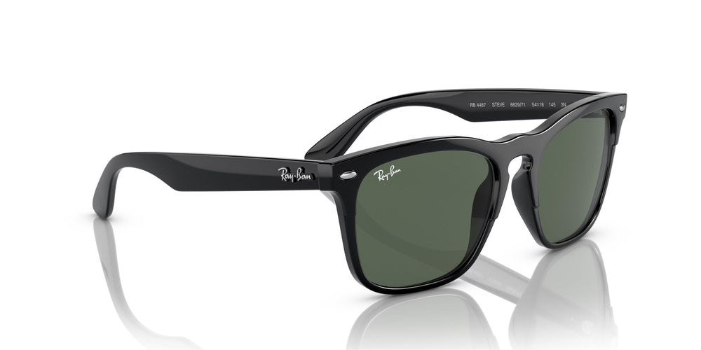 Ray-Ban Steve Güneş Gözlüğü 0RB4487 662971 54 Ekartman Black Dark Green