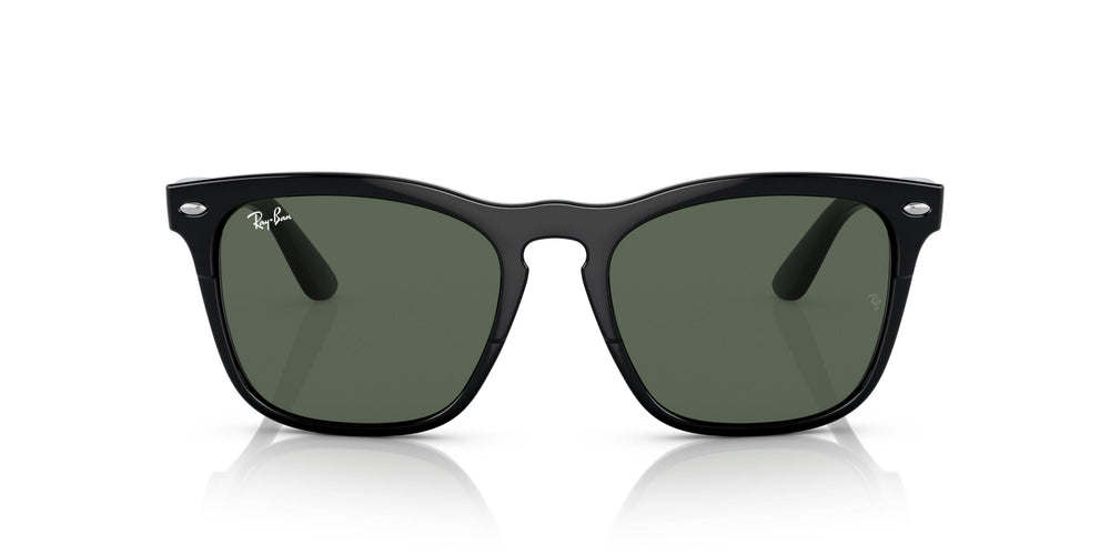 Ray-Ban Steve Güneş Gözlüğü 0RB4487 662971 54 Ekartman Black Dark Green