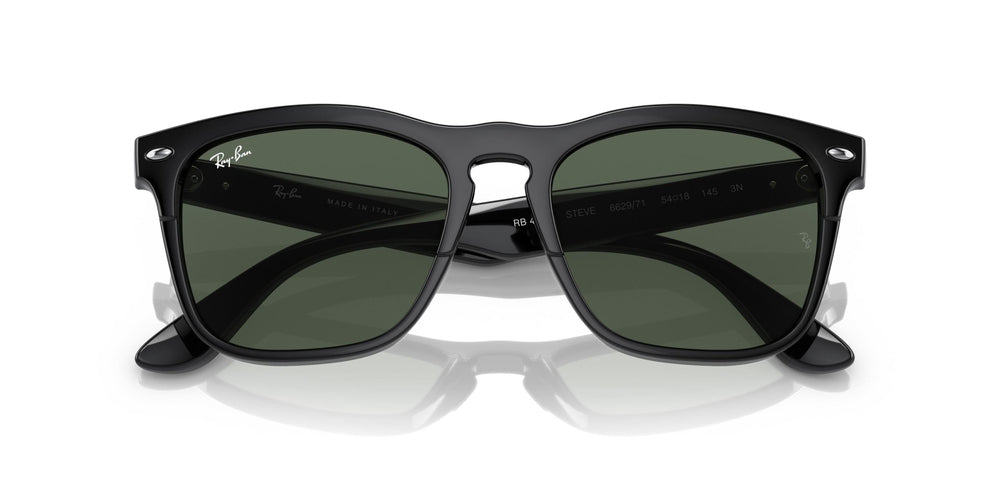 Ray-Ban Steve Güneş Gözlüğü 0RB4487 662971 54 Ekartman Black Dark Green