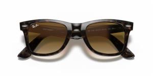 Ray-Ban Wayfarer 0RB2140 Sunglasses 50 Ekartman 902/51 Tortoise Clear Gradient Brown