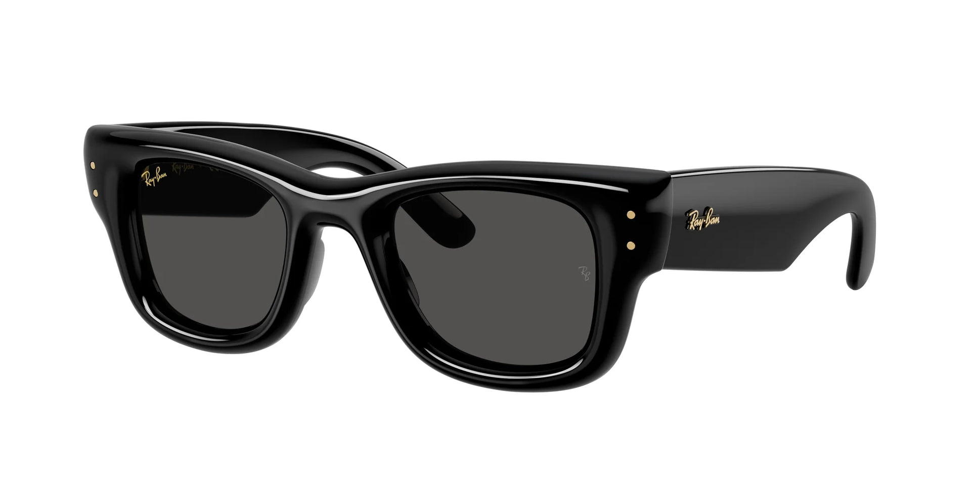 Ray-Ban× A$AP Rocky RB4940 671/87 新品 正規 ray-ban-wayfarer-puffer-a-ap-