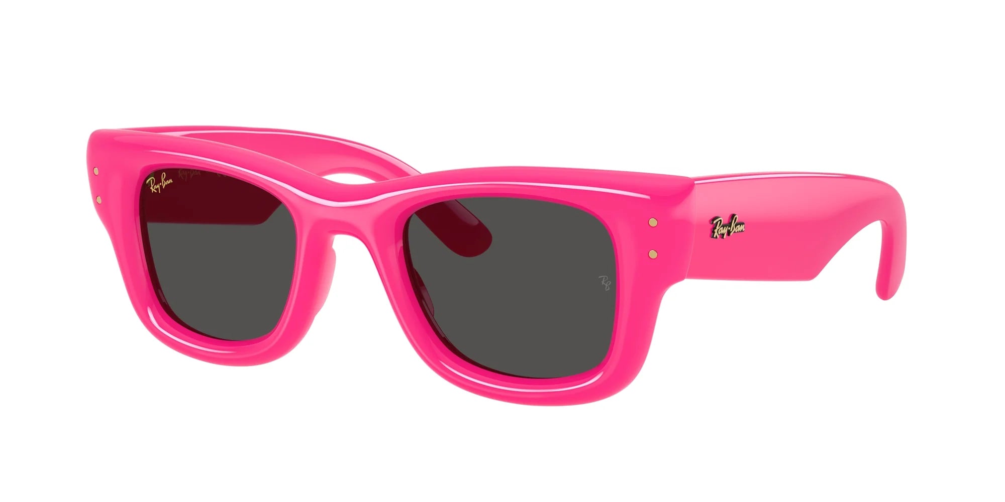 Ray-Ban Wayfarer Puffer A$AP ROCKY Special Edition Sunglasses