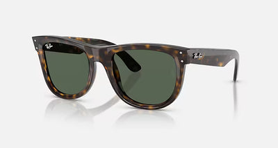 Солнцезащитные очки Ray-Ban Wayfarer Reverse RBR0502S 6790VR 53 Ekartman Dark Havana Dark Green