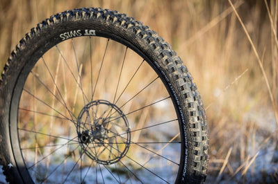 Schwalbe Magic Mary Performance DD TLE 29x2.40 ADDIX Tubeless Easy Dış Lastik 11654527 E-50