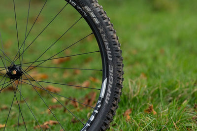 Schwalbe Magic Mary Performance DD TLE 29x2.40 ADDIX Tubeless Easy Dış Lastik 11654527 E-50