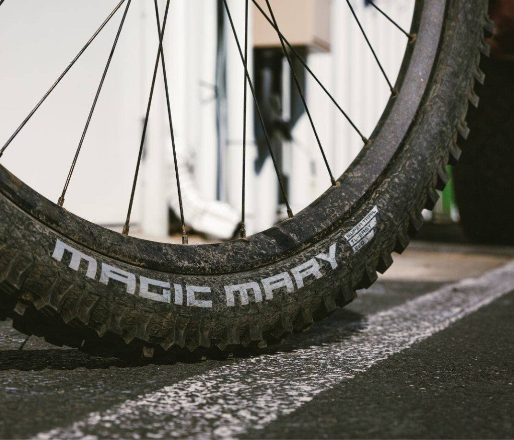 Schwalbe Magic Mary Performance DD TLE 29x2.40 ADDIX Tubeless Easy Dış Lastik 11654527 E-50