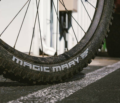Schwalbe Magic Mary Performance DD TLE 29x2.40 ADDIX Tubeless Easy Dış Lastik 11654527 E-50