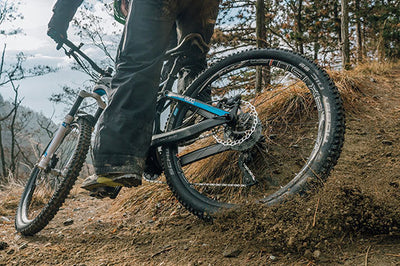 Schwalbe Nobby Nic Performance 29X2.25 TLR TwinSkin Tubeless Lastik