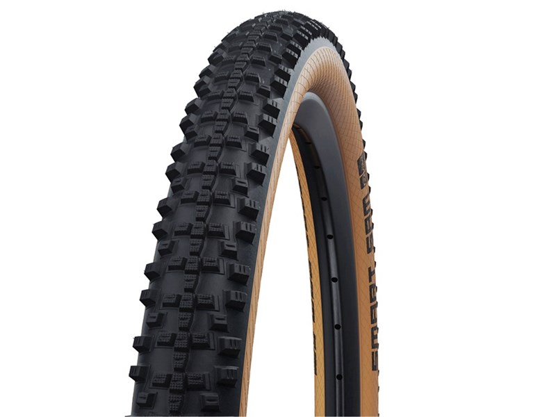 Schwalbe Smart Sam Performance 29x2.25 Bicycle Tire 