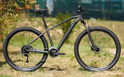 Горный велосипед Scott Aspect 950 29 Rim 2024 290226