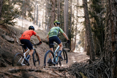 Scott Scale 910 Dağ Bisikleti 2024 290167