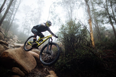 Велосипед YT Capra 29 CORE 1 AL Enduro Mountain Bike 2026