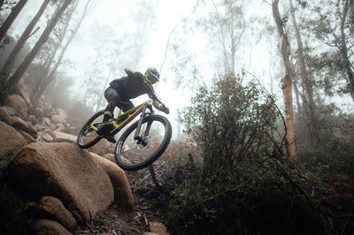 Велосипед YT Capra 29 CORE 1 AL Enduro Mountain Bike 2026