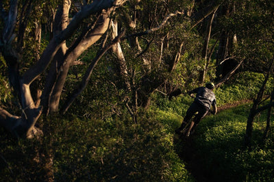 Велосипед YT Capra 29 CORE 1 AL Enduro Mountain Bike 2026