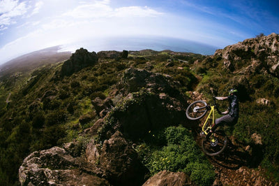 Велосипед YT Capra 29 CORE 1 AL Enduro Mountain Bike 2026