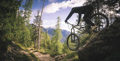 YT Capra 29 CORE 2 AL Enduro Dağ Bisikleti 2026