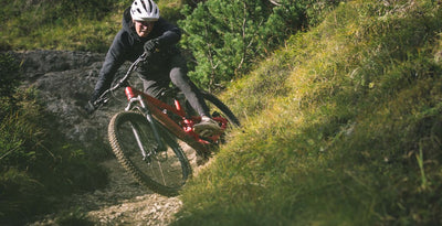 YT Capra 29 CORE 2 CF Karbon Enduro Dağ Bisikleti 2026