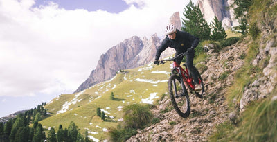 YT Capra 29 CORE 2 CF Karbon Enduro Dağ Bisikleti 2026