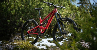 YT Capra 29 CORE 2 CF Karbon Enduro Dağ Bisikleti 2026