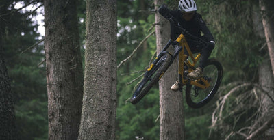 YT Capra 29 CORE 3 AL Enduro Dağ Bisikleti 2026