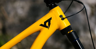 YT Capra 29 CORE 3 AL Эндуро Горный Велосипед 2026
