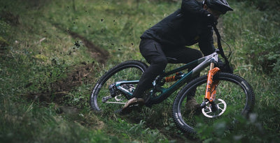 YT Capra 29 CORE 4 CF Karbon Enduro Dağ Bisikleti 2026